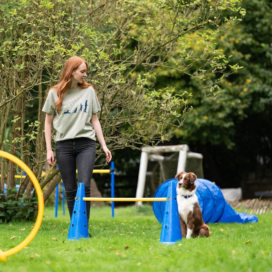 Agility Hürden- & Slalomstange - Image 3