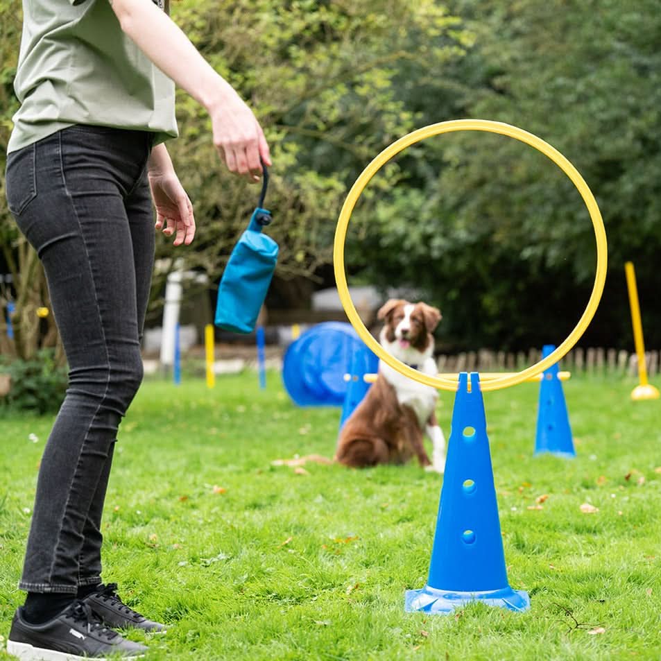 Agility Koordinationsring Ø 60 cm - Image 3