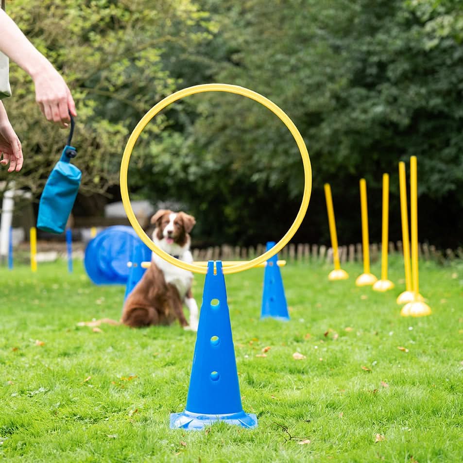 Agility Slalom- & Hürdenset 15-teilig - Image 3
