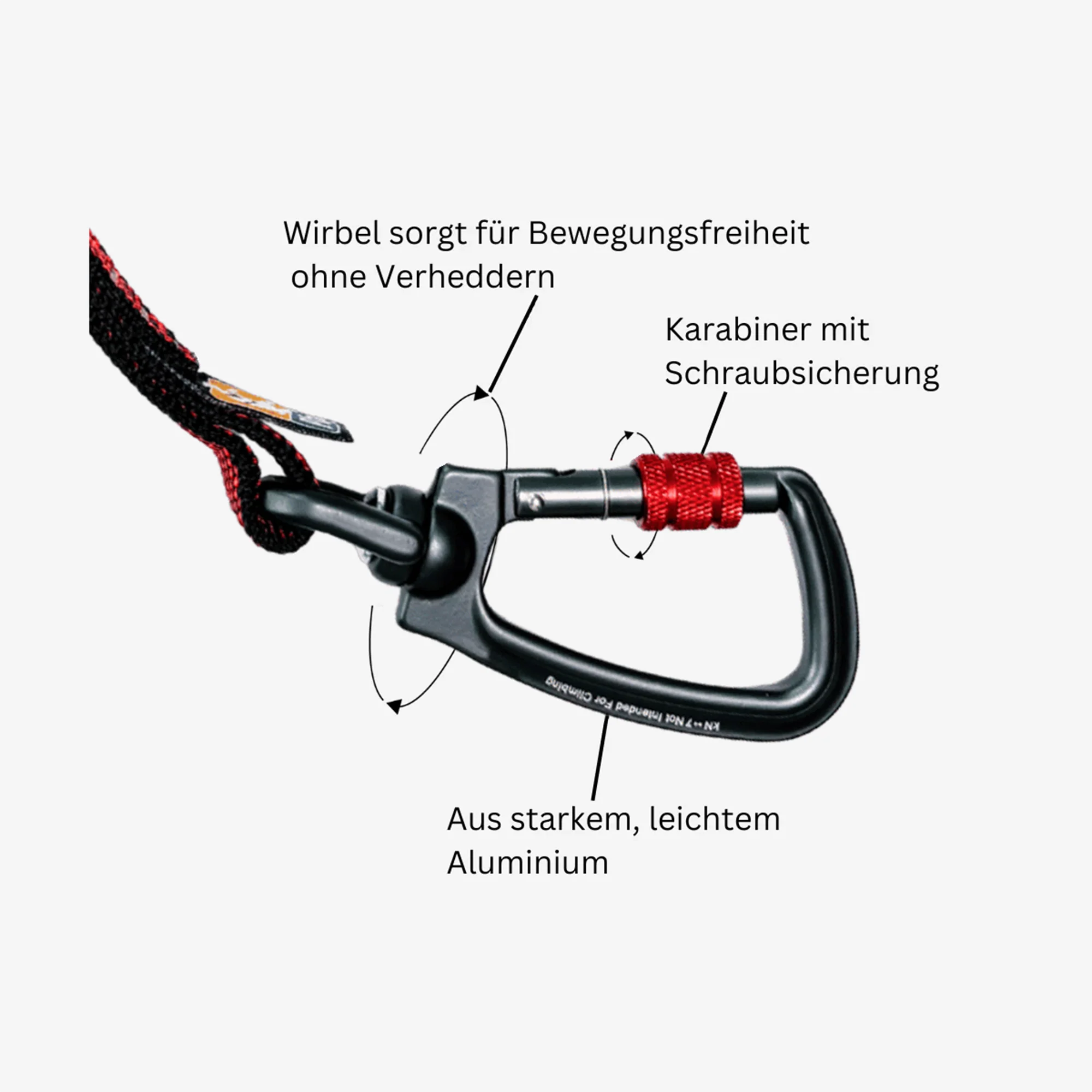 Autosicherheitsgurt Schlaufe - Image 3