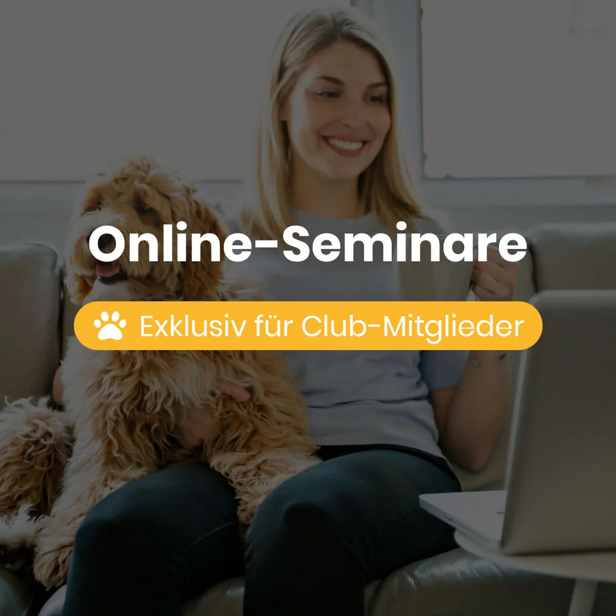 Dogorama Club Mitgliedschaft - Image 5