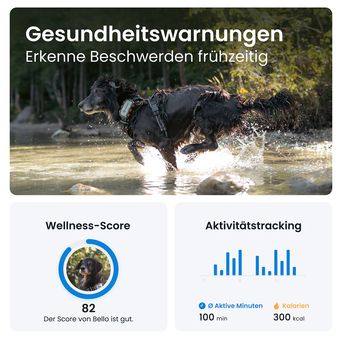 GPS Tracker Tractive Dog XL Adventure - Image 5