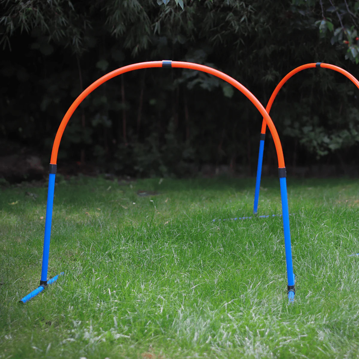 Hoopers Agility Basis-Set - Image 11
