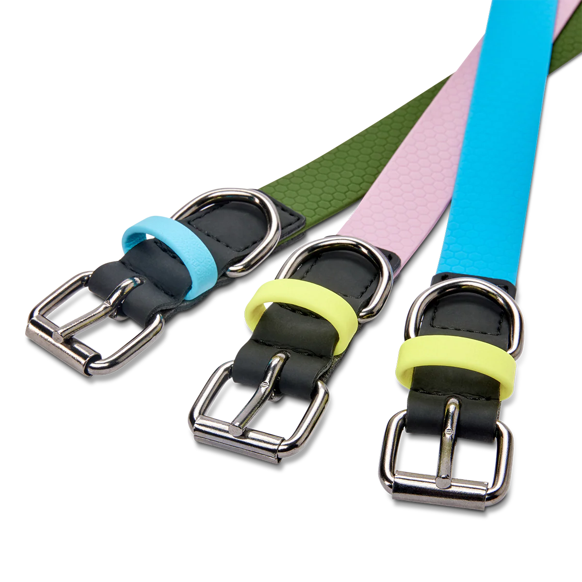 Hundehalsband mit veganem Apfelleder Cyanblau - Image 5