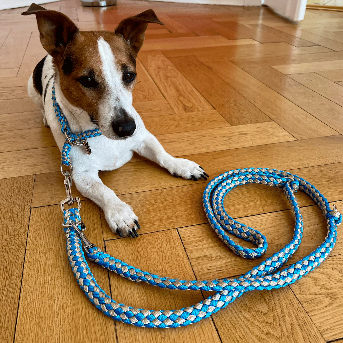 Hundehalsband Tauwerk Türkis-Karamell - Image 4