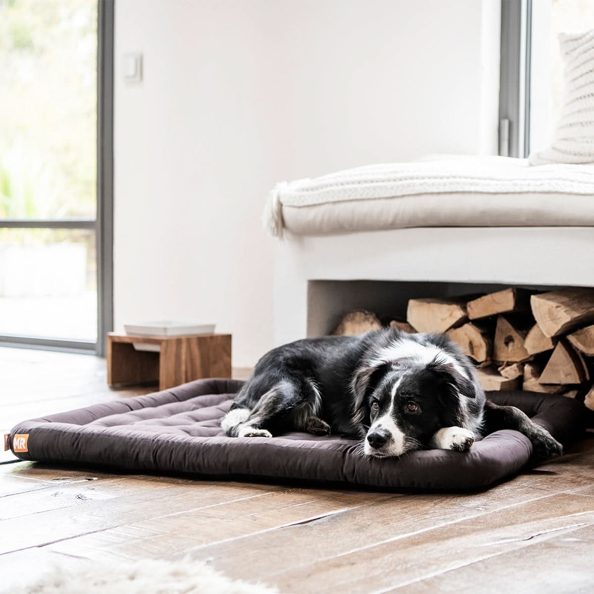 Hundekissen orthopädisch - Image 6