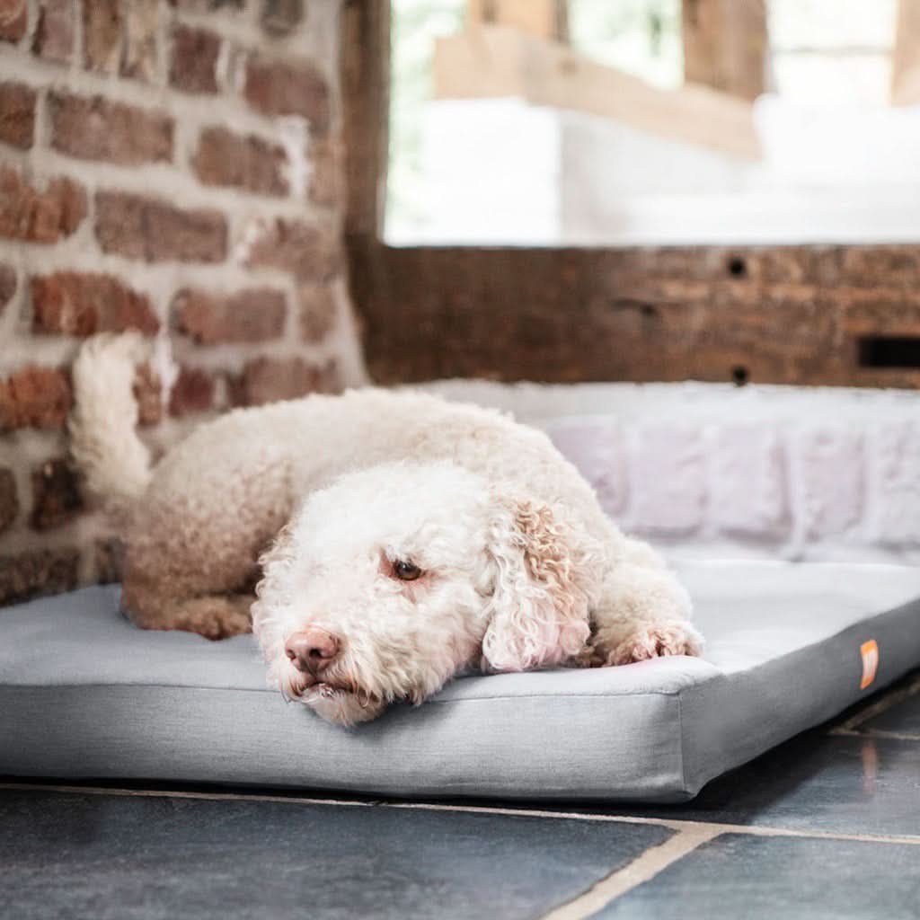 Hundematratze orthopädisch mit Fleece - Image 5