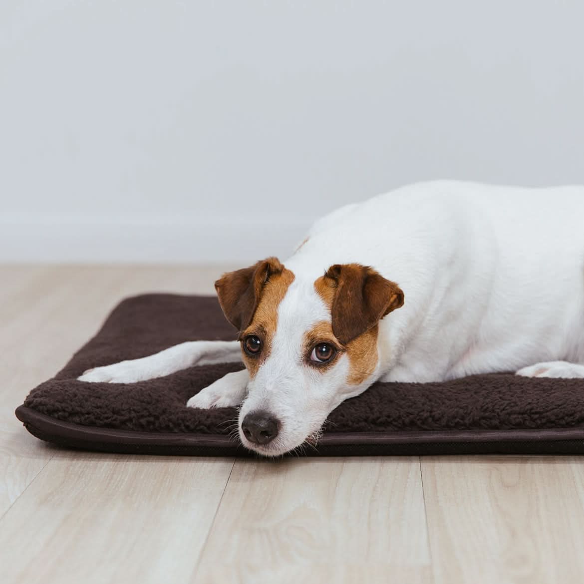 Hundematte HYGGE - Image 2