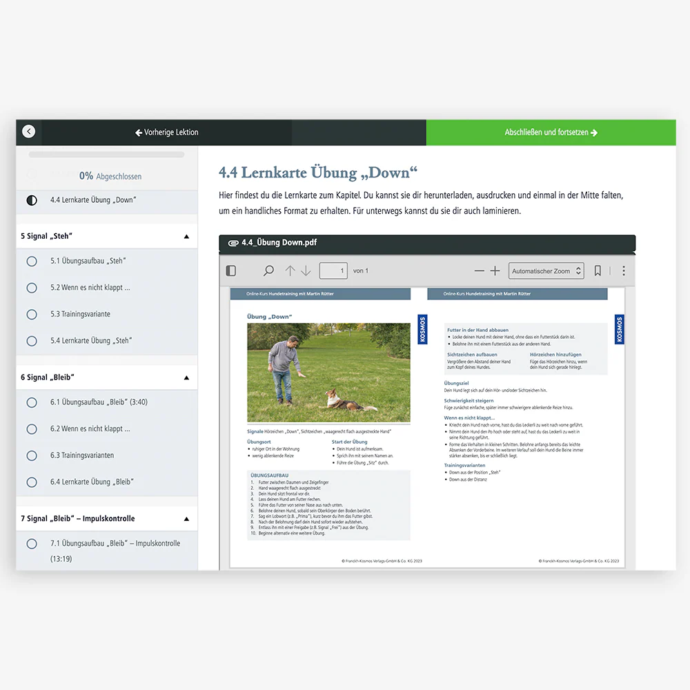 Onlinekurs "Hundetraining" mit Martin Rütter - Image 3