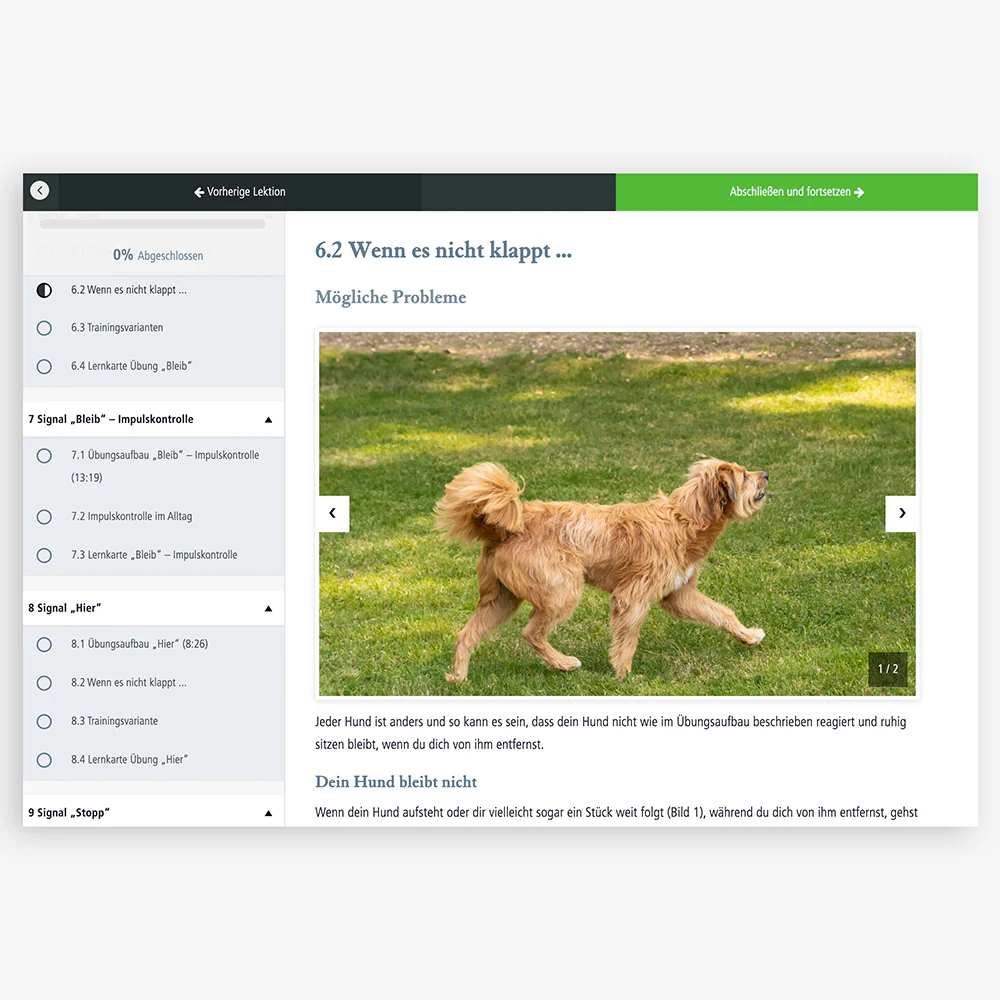 Onlinekurs "Hundetraining" mit Martin Rütter - Image 5