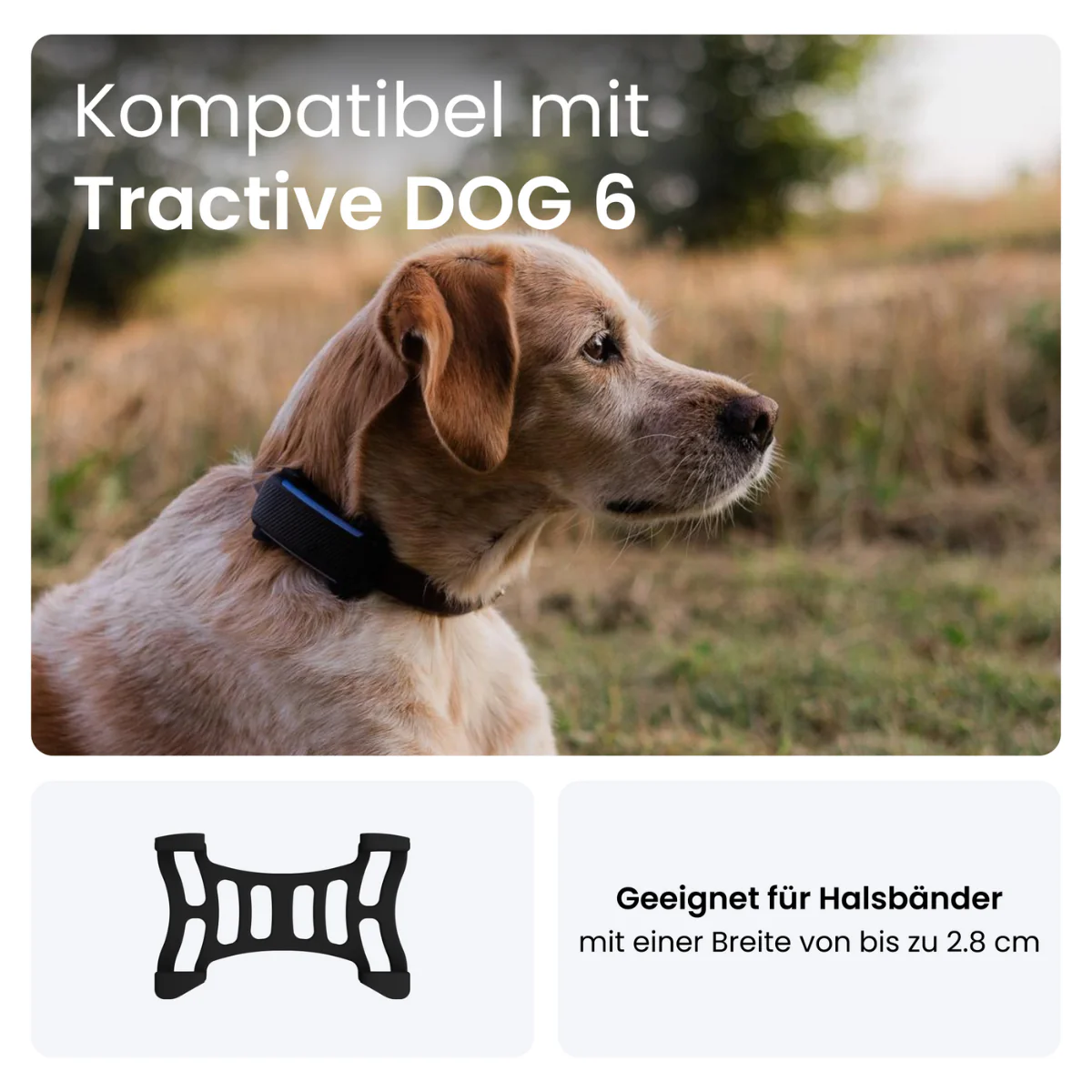 Tractive Dog 6 Ersatzhalterung - Image 3