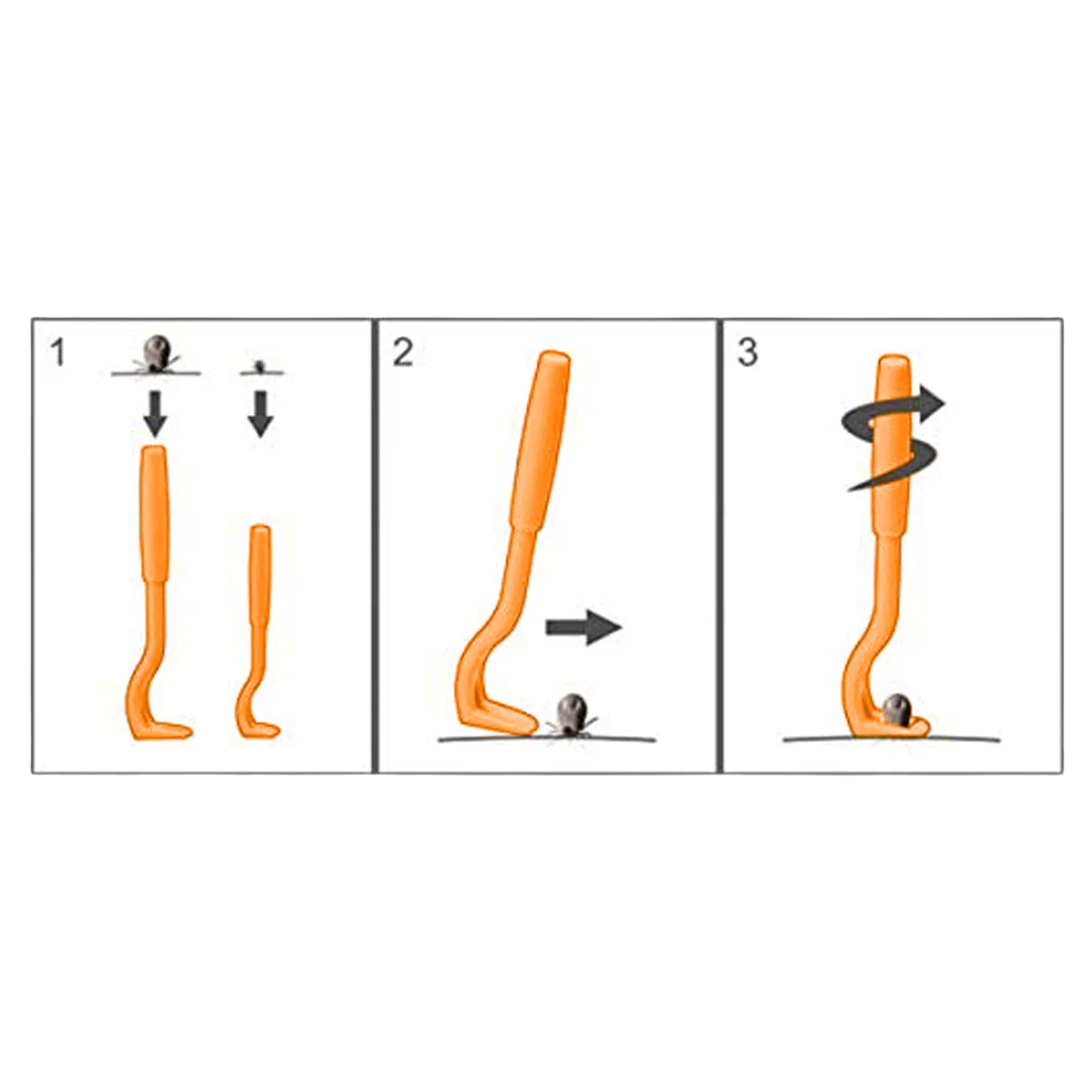 Zeckenhaken 2er Set - Image 3